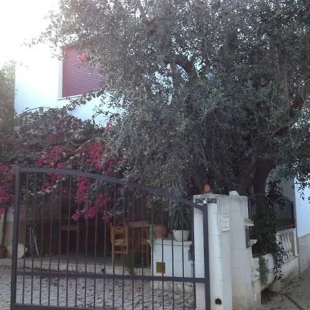 Bisceglia